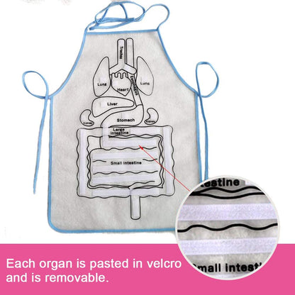 Șorț de anatomie APRON© - ShopGuru